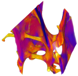 Trabecular bone ellipsoid factor