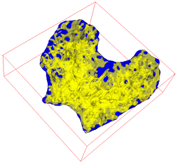 Surface meshes of an irregular ROI (blue) and trabeculae within it (yellow)