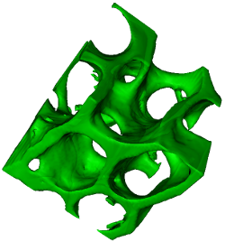 Surface mesh of trabecular bone displayed in ImageJ 3D Viewer